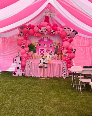 Royal Santos Party Rentals pink drapery canopy