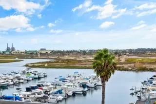 a marina filled with lots of boats and palm trees