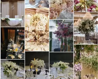 evolution floral 2